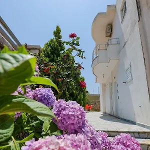 https://lekas-apartments.albaniahotels.org